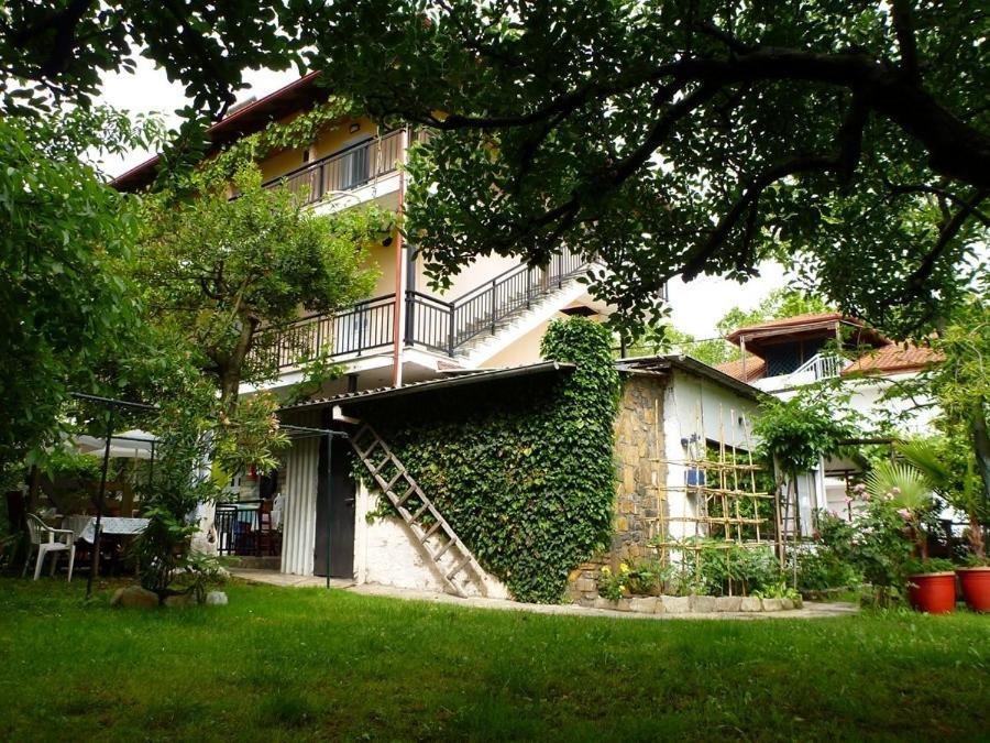 Helena Apartments パラリア・パンテレイモノス エクステリア 写真